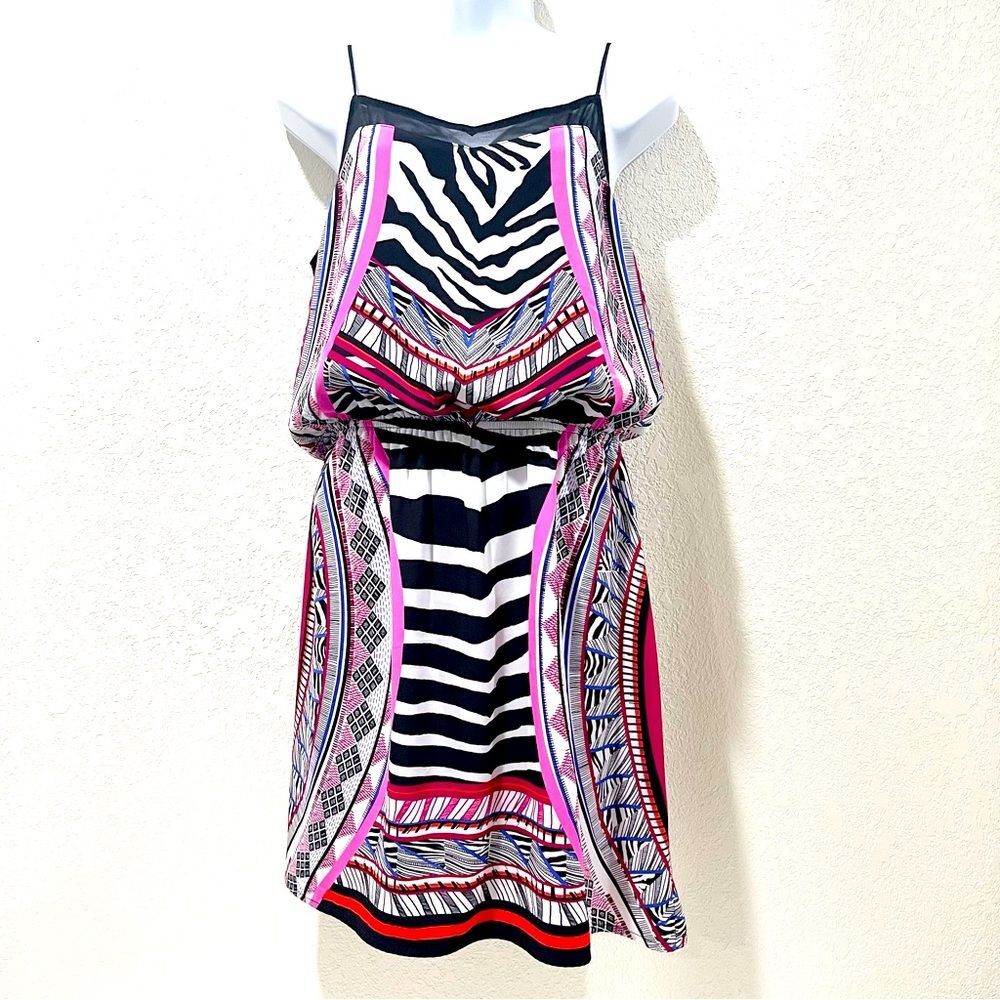 Express Y2K vibe colorful zebra print spaghetti strap dress | Sz Small